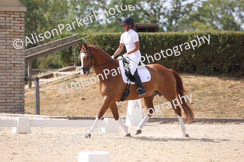 20260815-0985 - Class 5 - Novice 1