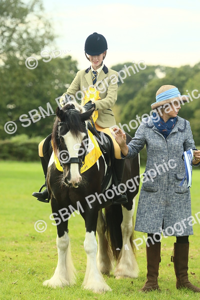SBM_75101 - Ridden Pony Supreme Championship