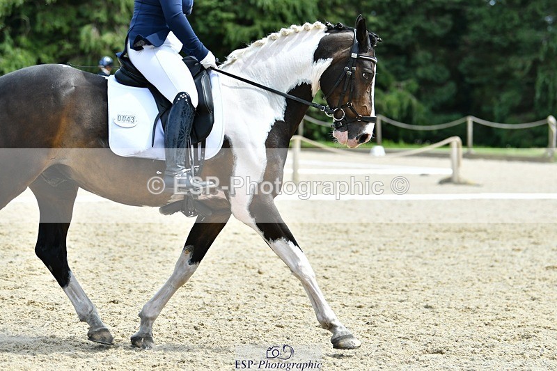 230623-144710-02604 - Cls 6 Elementary 53Q