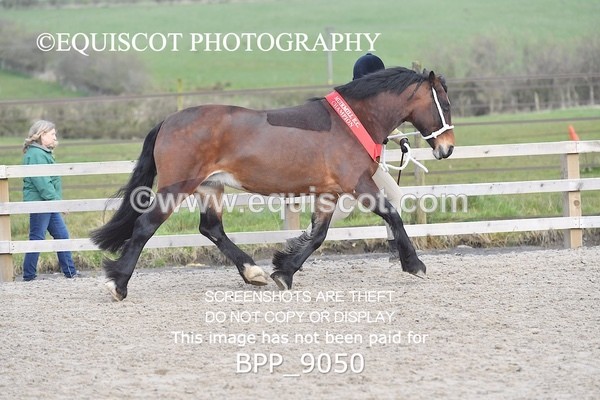 BPP_9050 - RING 2 - M&M