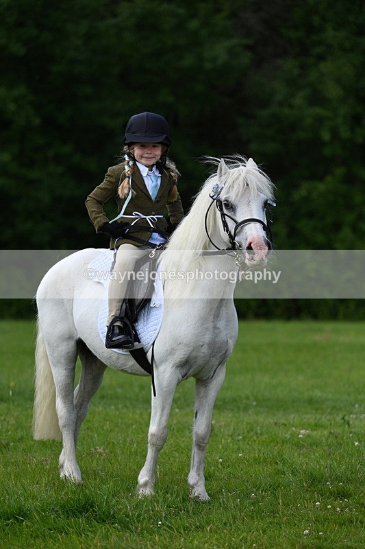 WJ7_1721 - Class 11 Condition & Turnout