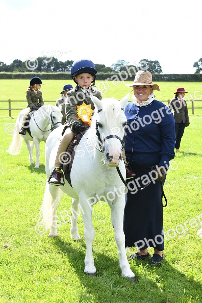 SBM_42662 - S20 - Lead Rein Mountain & Moorland Pony