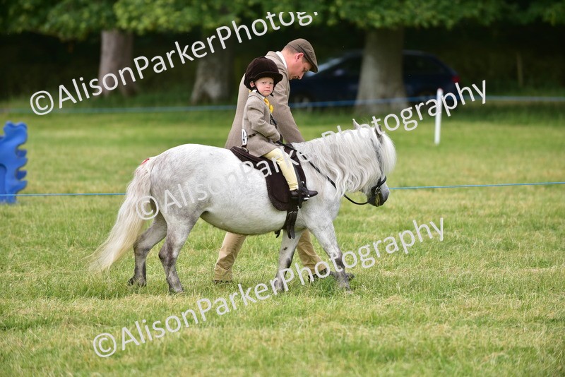 20260614-3625 - Class 15 - Prettiest Mare