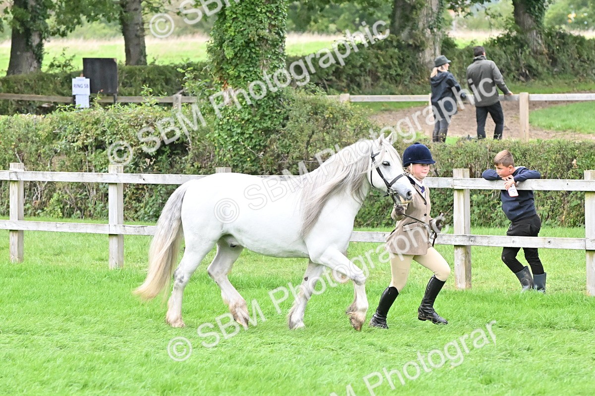 SBM_68536 - S42 - Junior Handler 9-12 Years