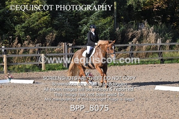 BPP_8075 - LONG ARENA PRELIM 4