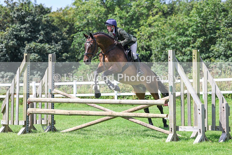 3E7A8905 - Class 6: Open Working Horse