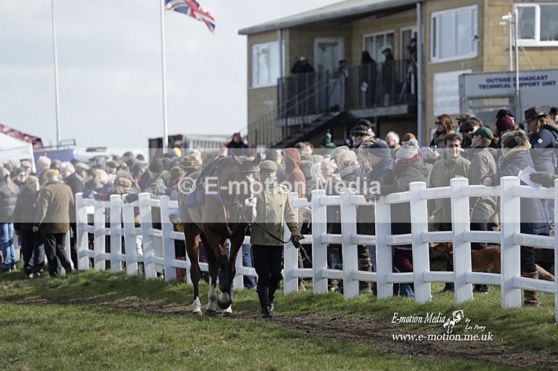 PtP 260223 342 - South & West Wilts Point-to-Point Larkhill 26/02/23