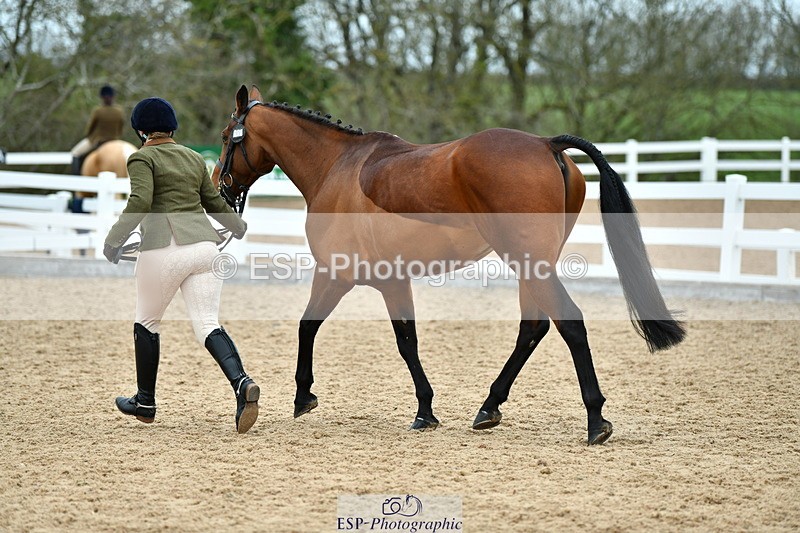 230416A-141941-05097 - Cls 67 Ridden Show Hunter