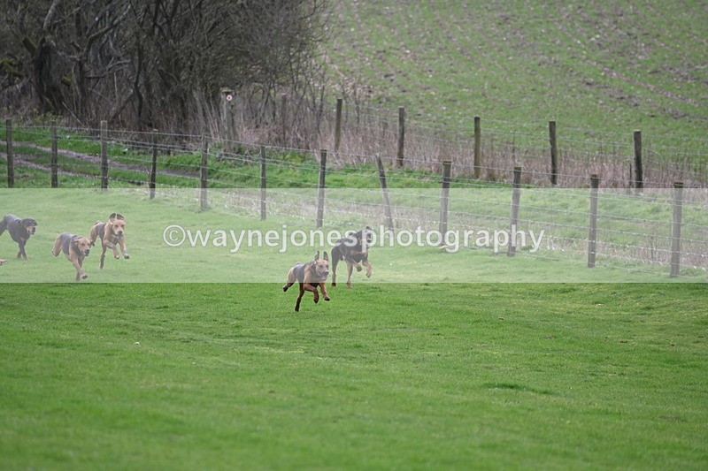 WJ6_8958 - Line Three