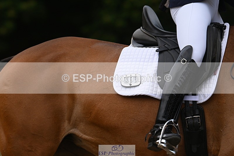 250719A-111211-04249 - 065-Amy.Richards-Im.Fine