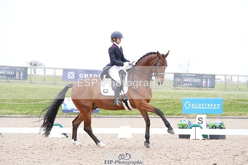 250403-161828-03280 - 028-Elizabeth.Allen-Heraldik