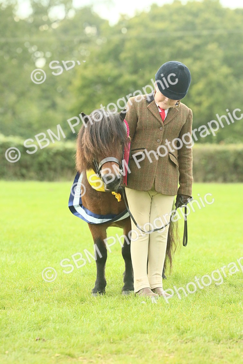 SBM_75267 - Super Supreme Championship