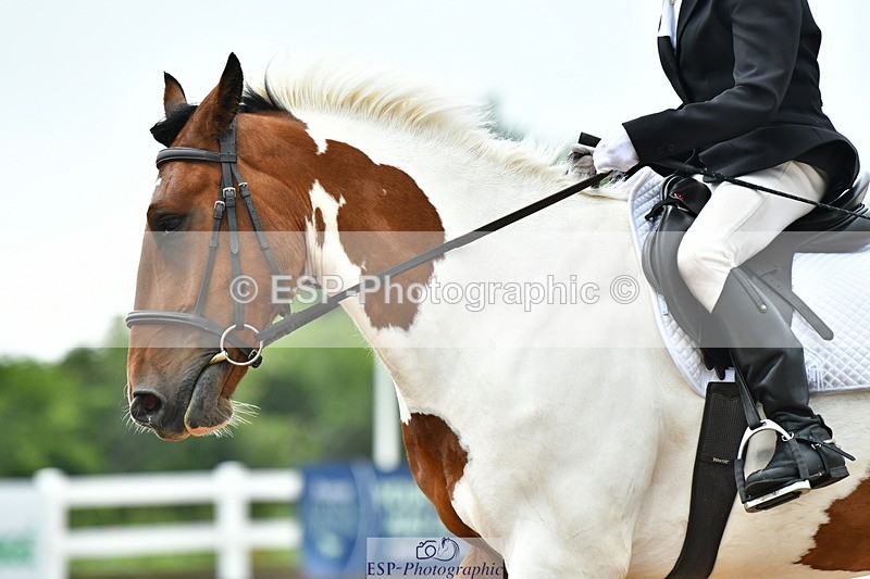 230708A-140746-03376 - Prelim 14