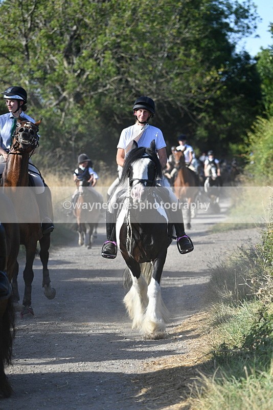 WJ5_4924 - Walk out with the hounds