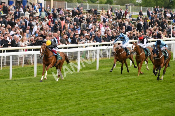 yr13052022r4-41 - Race 4 3.35pm The Paddy Power Yorkshire Cup (British Champions Series Race)