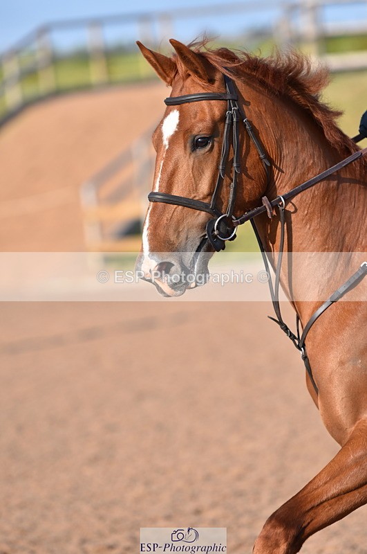 230606A-184444-00415 - 1m