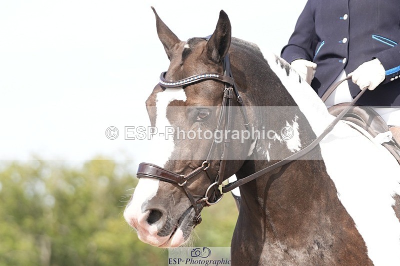 250906-134722-03390 - 106-Lucy.HamblettGalliano.Gold.Dust