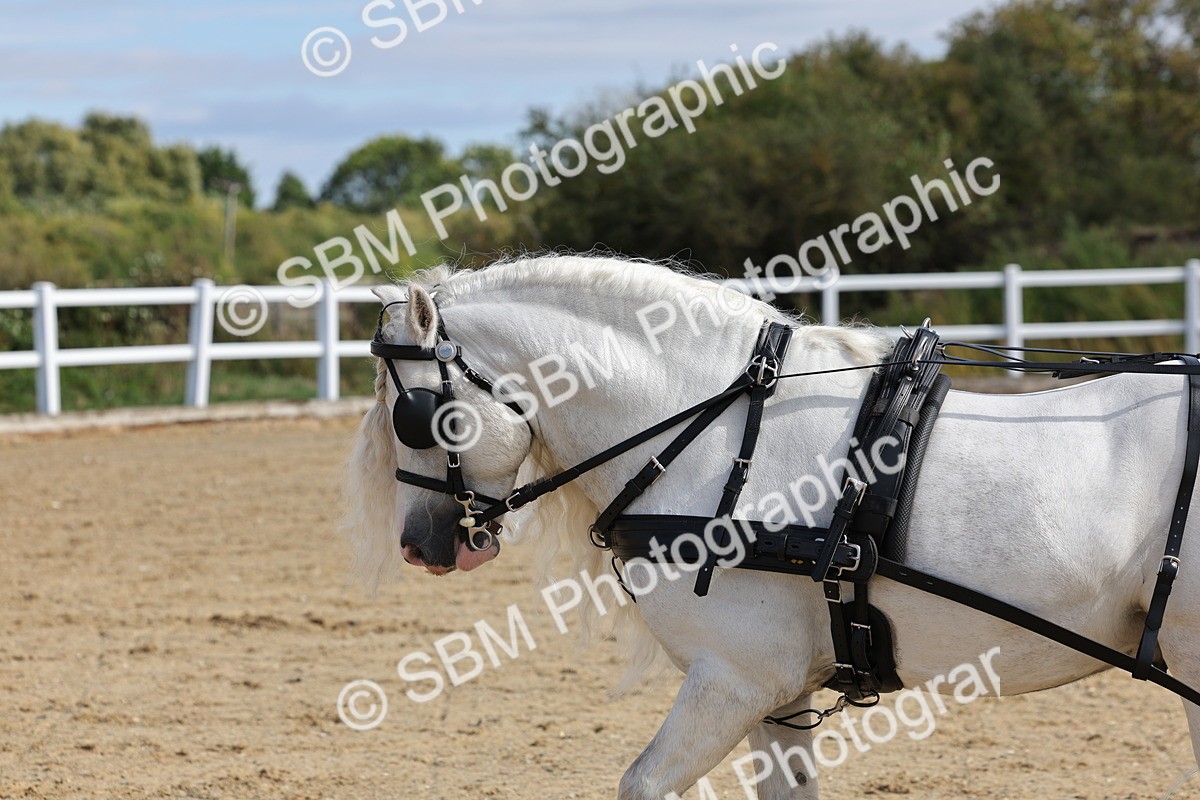 SBM_001237 - Class 16 - Pairs ,Multiples and Tandems