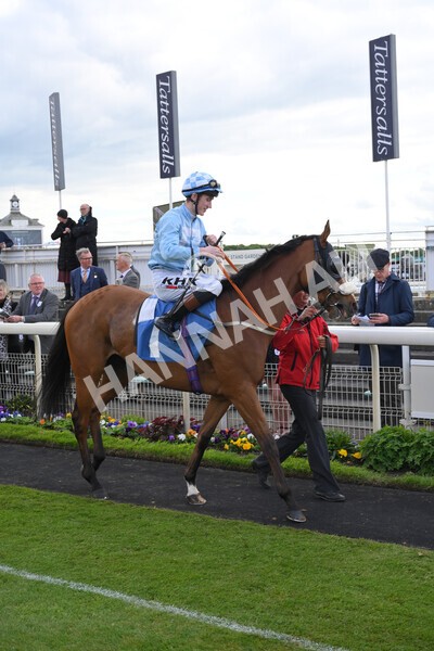 yr11052022r6-2 - Race 6 4.45pm Conundrum HR Consulting Stakes