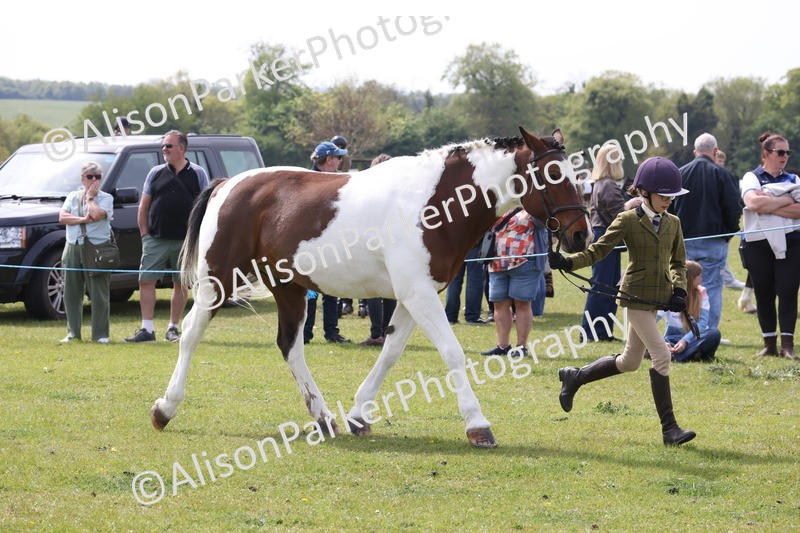 20260426-3344 - Class 27 - Coloured Horses and Ponies
