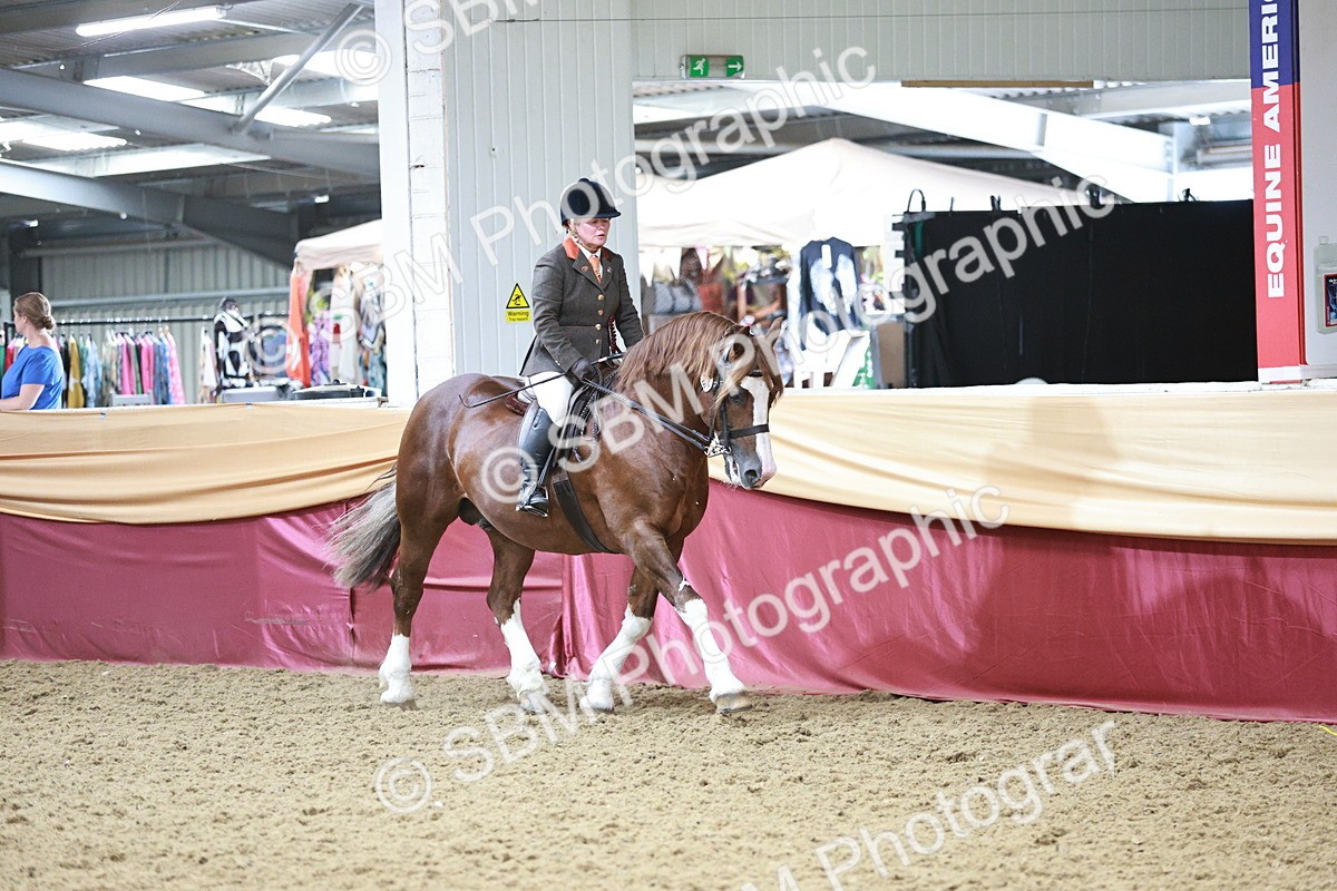 SBM_08632 - Regional Ridden Champ