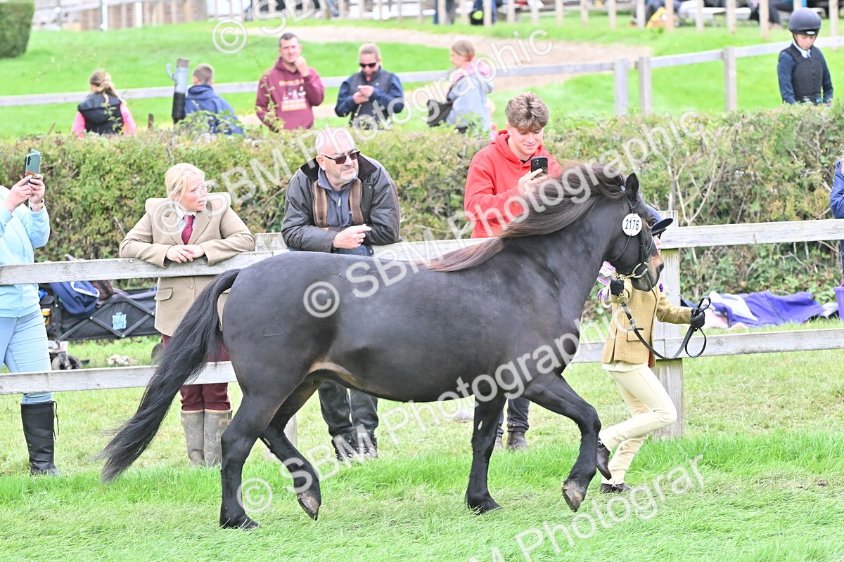 SBM_66793 - S41 - Junior Handler 8 Years & Under
