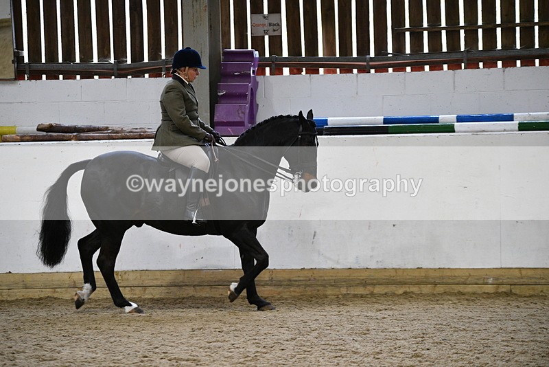 WJ5_7806 - Class 13 Ridden Part Breed