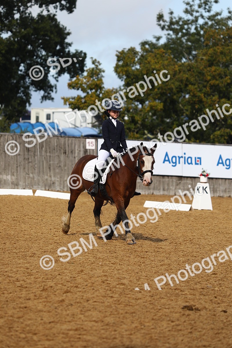 SBM_39027 - D21 - Junior Championship Intro 1