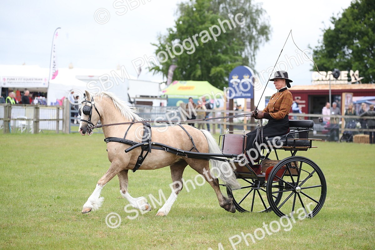 SBM_05667 - Class 12-15 - HOYS Private Driving
