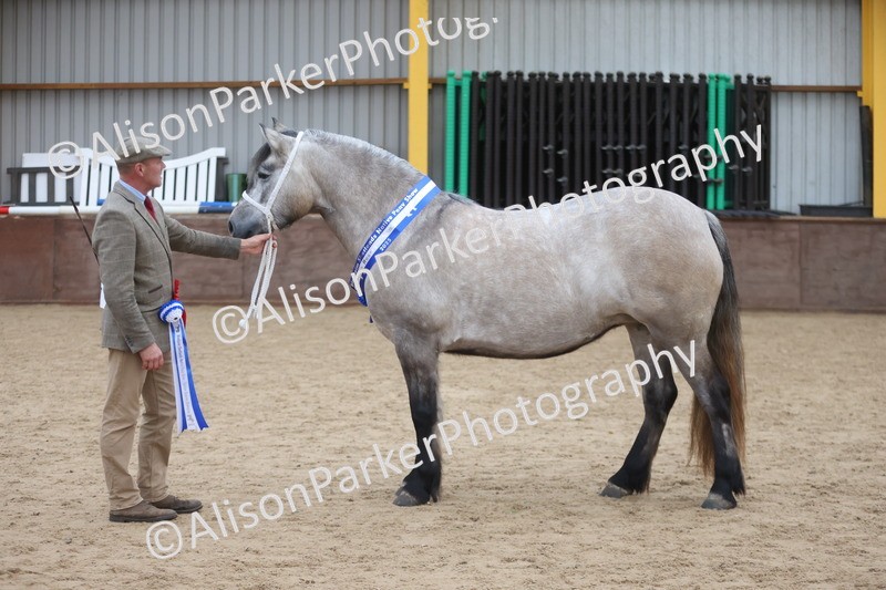 20251109-1172 - Championship