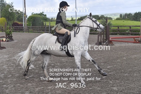 JAC_9636 - CLASS 1 Nursery Novice Working Hunter (0.50m)