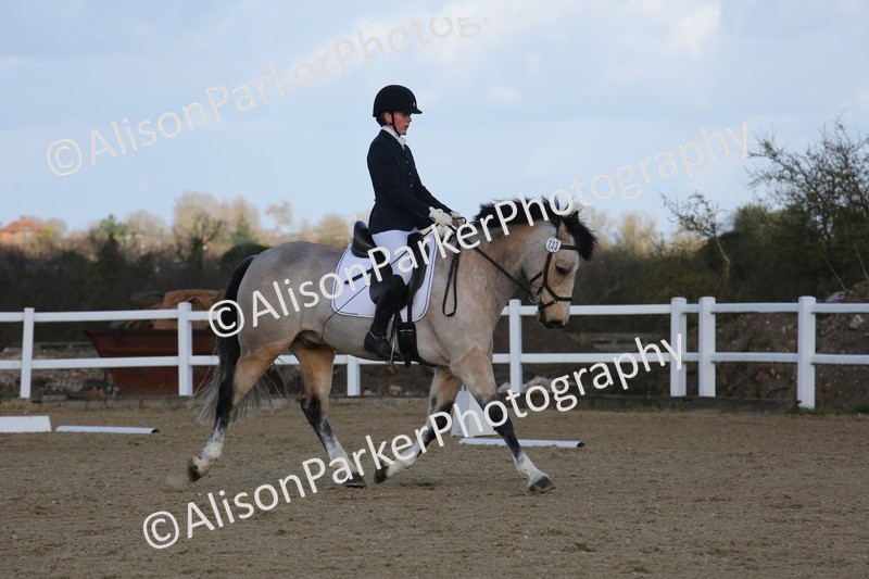 20260314-5196 - DR6 - Novice 2