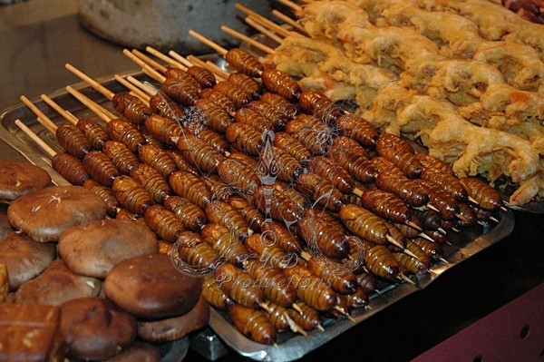 Exotic Food in Street Mkt., Bejing, China - EVERYTHING  ELSE