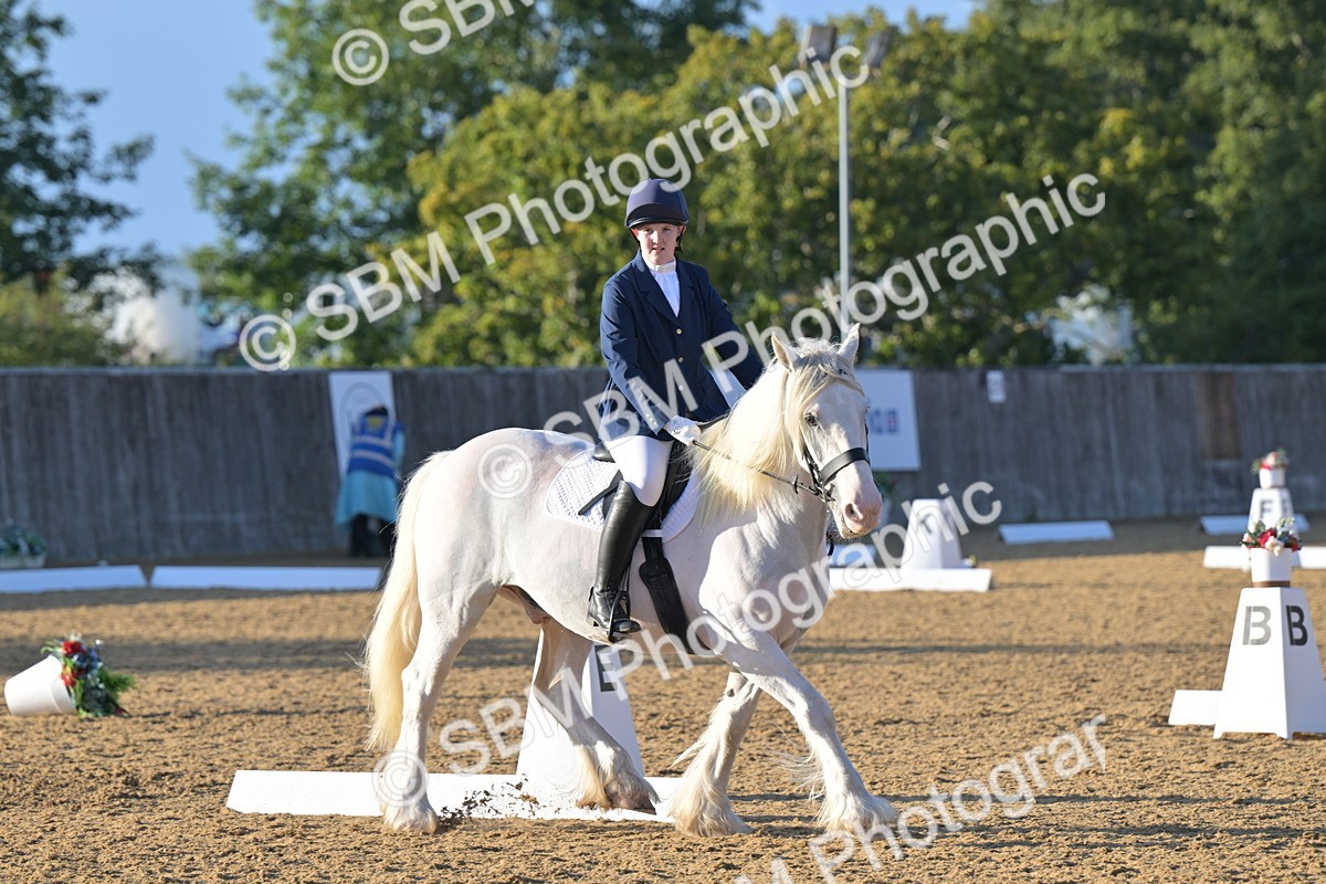 SBM_13174 - D3 - Small Tour Championship Intro 3