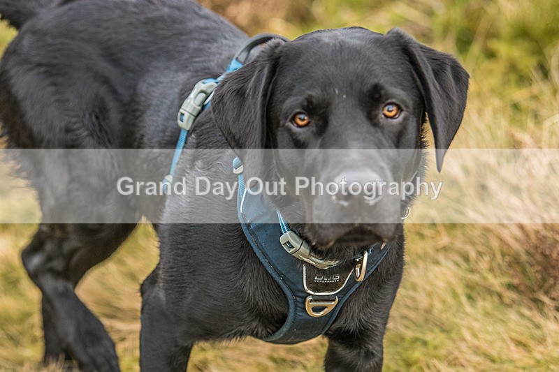 Blake Fell-998 - Blake Fell Race Saturday 25th January 2025