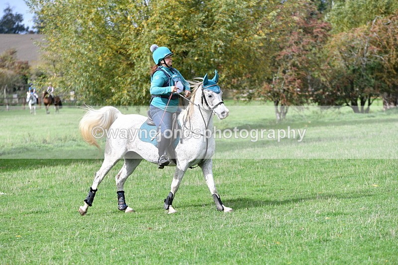 WJ5_9494 - Time 13:03 to 13:25