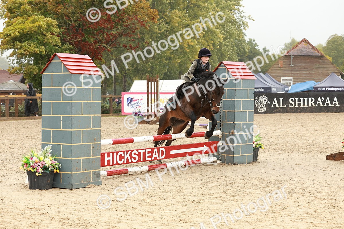 SBM_73295 - Supreme Championship Junior Pony 60cm & 65cm
