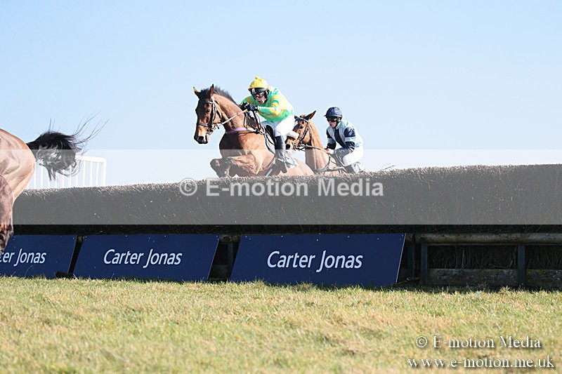 PtP 230219 295 - Vine & Craven Point-To-Point - Barbury 23/02/19