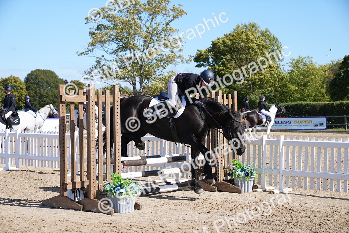 SBM_04972 - J56 - Clear Round 70cm