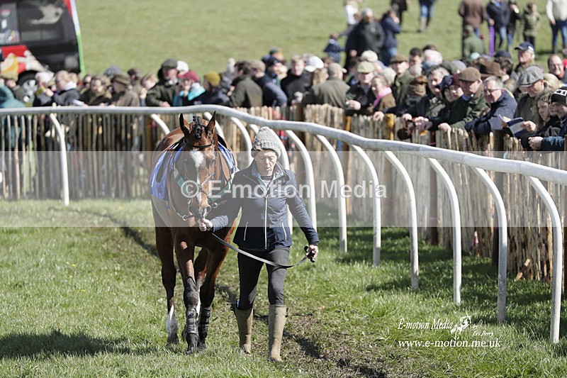 PtP 100423 478 - Old Berkshire Point-to-Point Lockinge 10/04/23