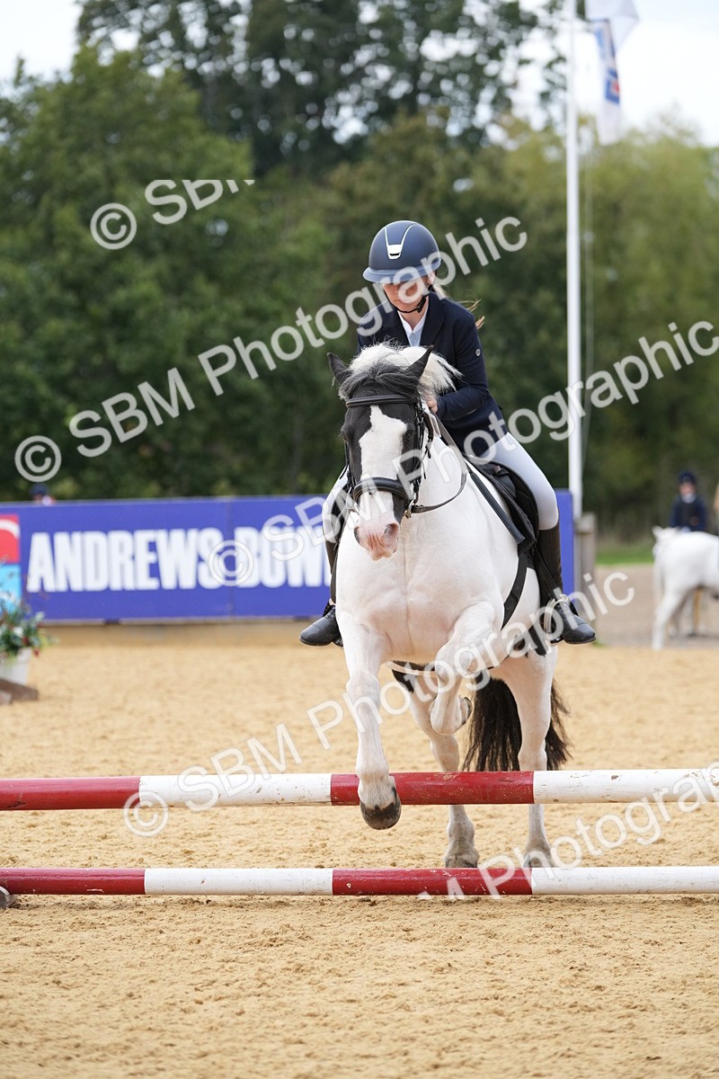 SBM_74806 - J4 - Mini Tour Junior Pony 45cm Championship