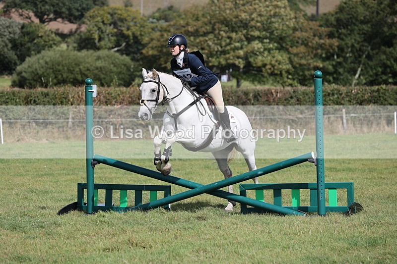 JPP_8902 - Class 2: Trekenning: 80cm Showjumping