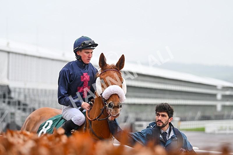 131224-Race 4-Izino dAiry-9009 - Race 4