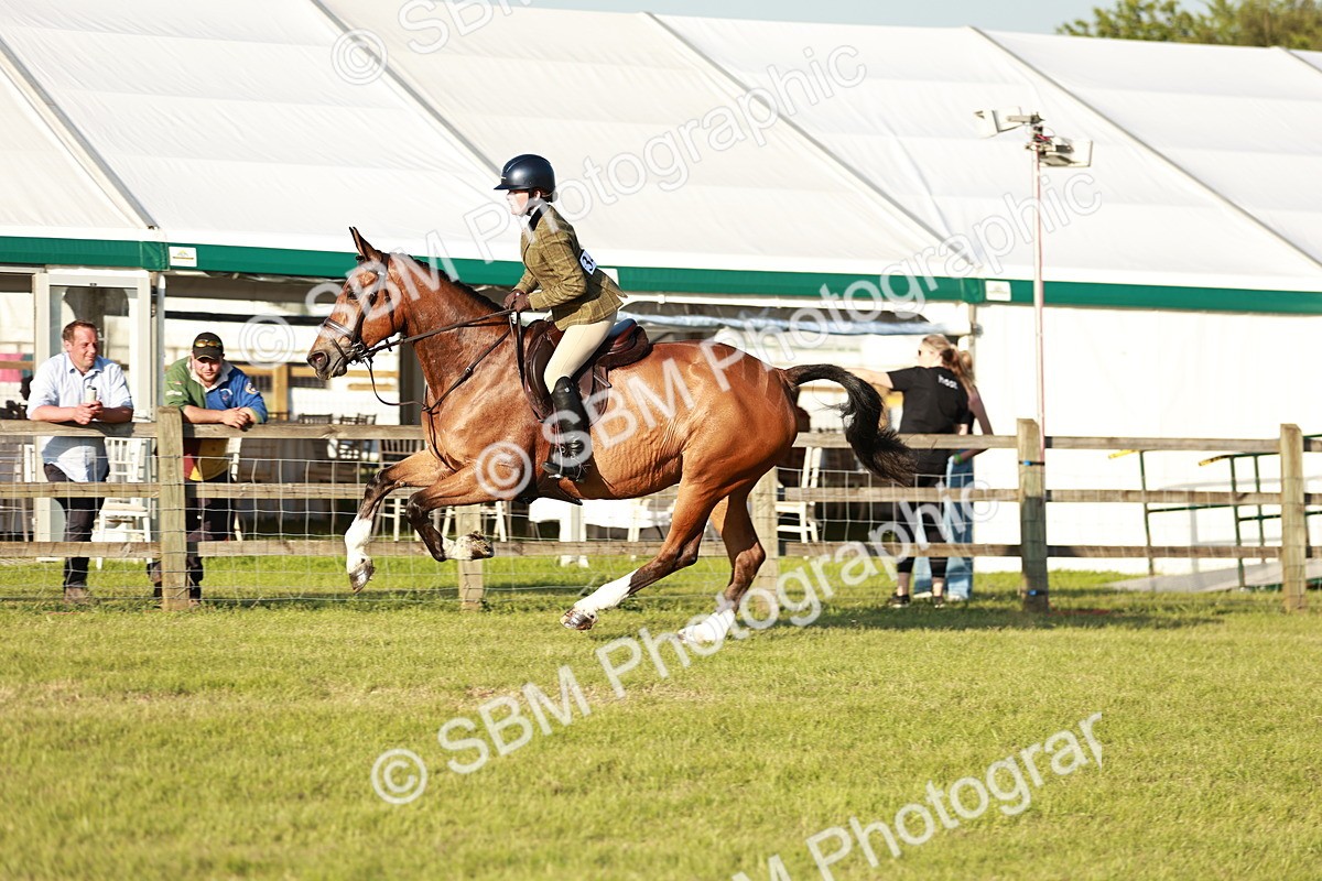 SBM_20500 - Class 117-119 - Sport Horse Working Hunter