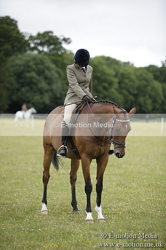 BVR160717-475 - Ring 1 BVRC Show 16/07/17