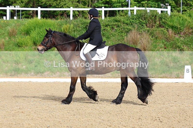 3E7A3317 - Class 2: INTRO B- INTRO 3 2024