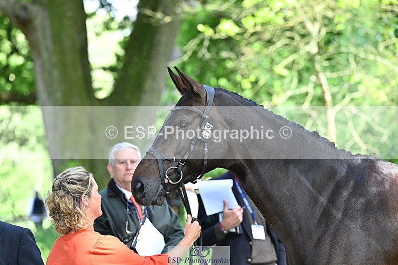 250521A-153453-00608 - B-319-Ali.Wilkes-JAZZ.ROOS