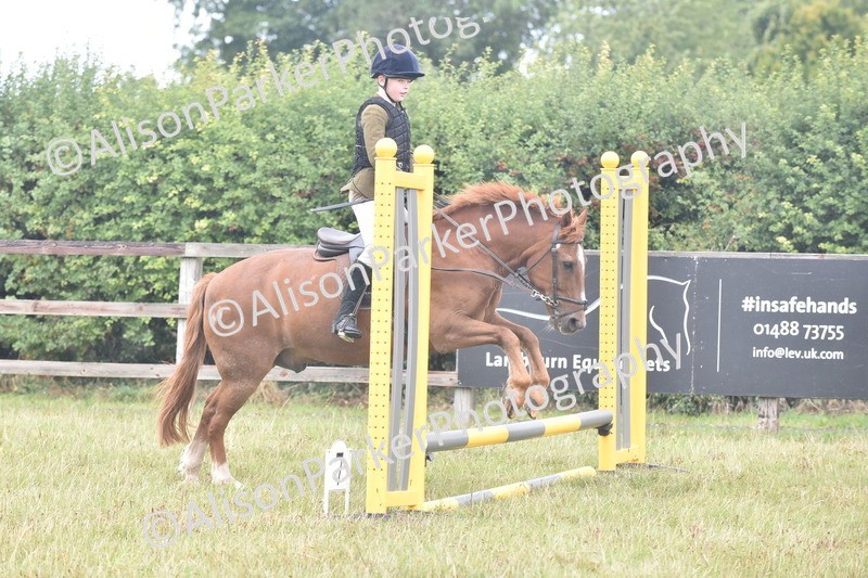 20250831-1858 - Class 9 - Absolute Novice 45cm