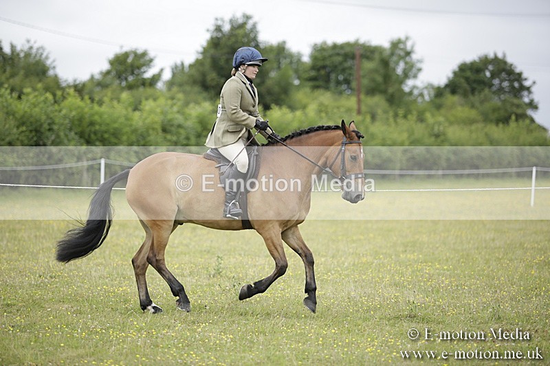 BVR160717-764 - Ring 1 BVRC Show 16/07/17