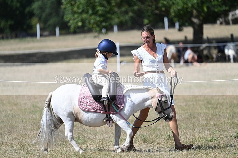 WJ7_1229 - Class 41 Prettiest Mare